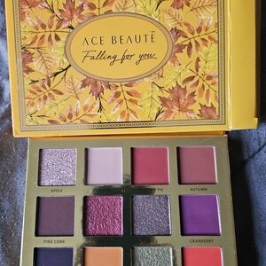 Ace Beaute Autumn Hues Eyeshadow Palette